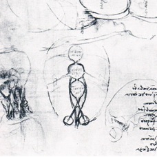 Leonardo-12627r-detail