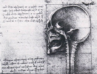 Leonardo-19057r-detail